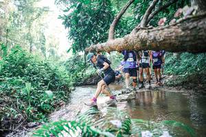 BIB: 
                            <button type="button" onclick="openModal(25460429)" class="btn btn-primary btn-sm float-right btn-popup" data-toggle="modal" data-target=".modal-high-quality">
                        <i class="fas fa-shopping-cart"></i> Add to Cart
                    </button>
                                            <button type="button" onclick="isThisMe(25460429, true)" class="btn btn-success btn-sm float-right btn-popup btn-isme hidden" data-toggle="tooltip" data-placement="bottom" title="นี่คือรูปของคุณใช่ไหม คลิกที่นี่เพื่อเอาเข้าอัลบั้ม">
                        <i class="fas fa-plus"></i> Add to album
                    </button>
                    <button type="button" onclick="isThisMe(25460429, false)" class="btn btn-warning btn-sm float-right btn-popup btn-isnotme hidden">
                        <i class="fas fa-ban"></i> Remove from album
                    </button>